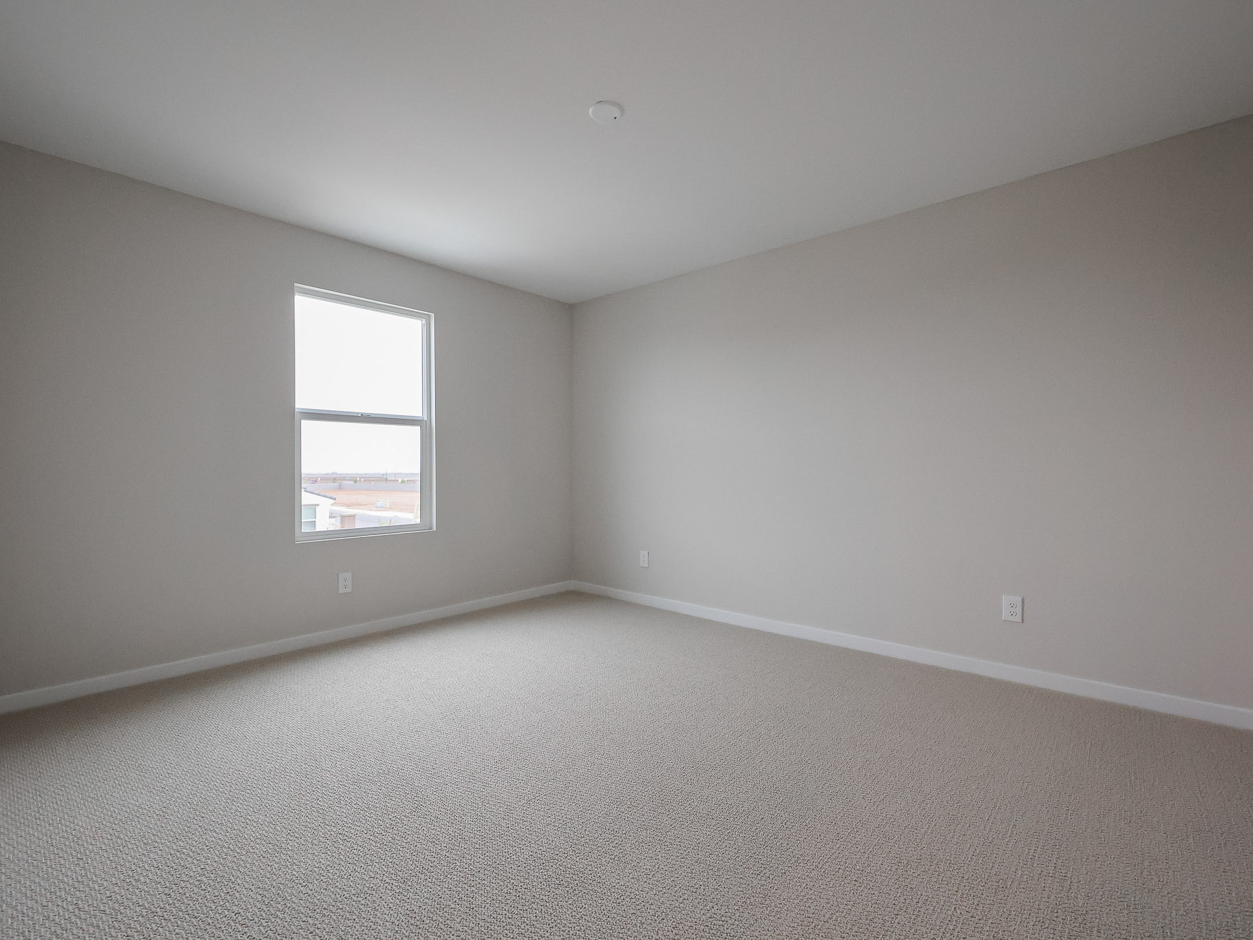 A room with a carpet and a window.