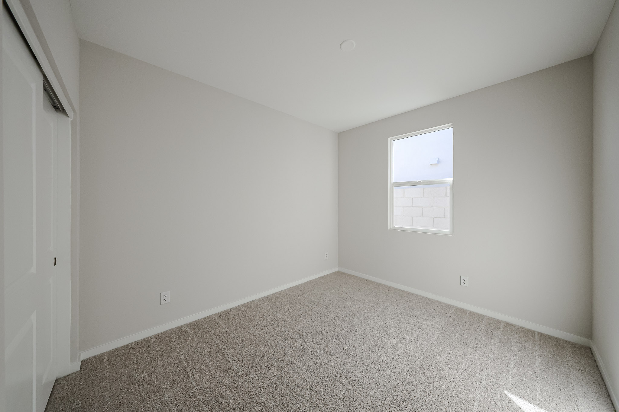 A room with a carpet and a white door.