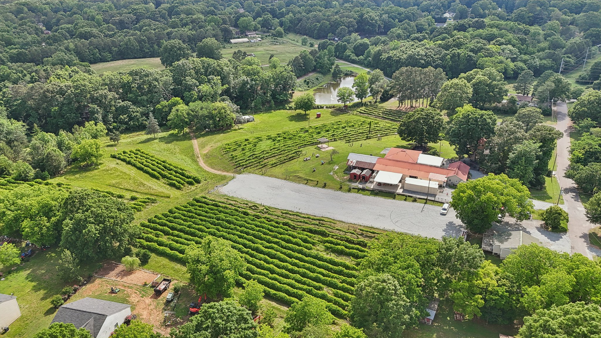 Treehouse Vineyards in Monroe, NC