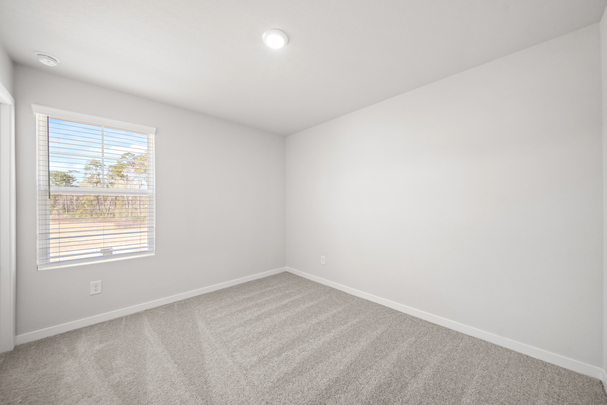 A room with a window and a carpet.