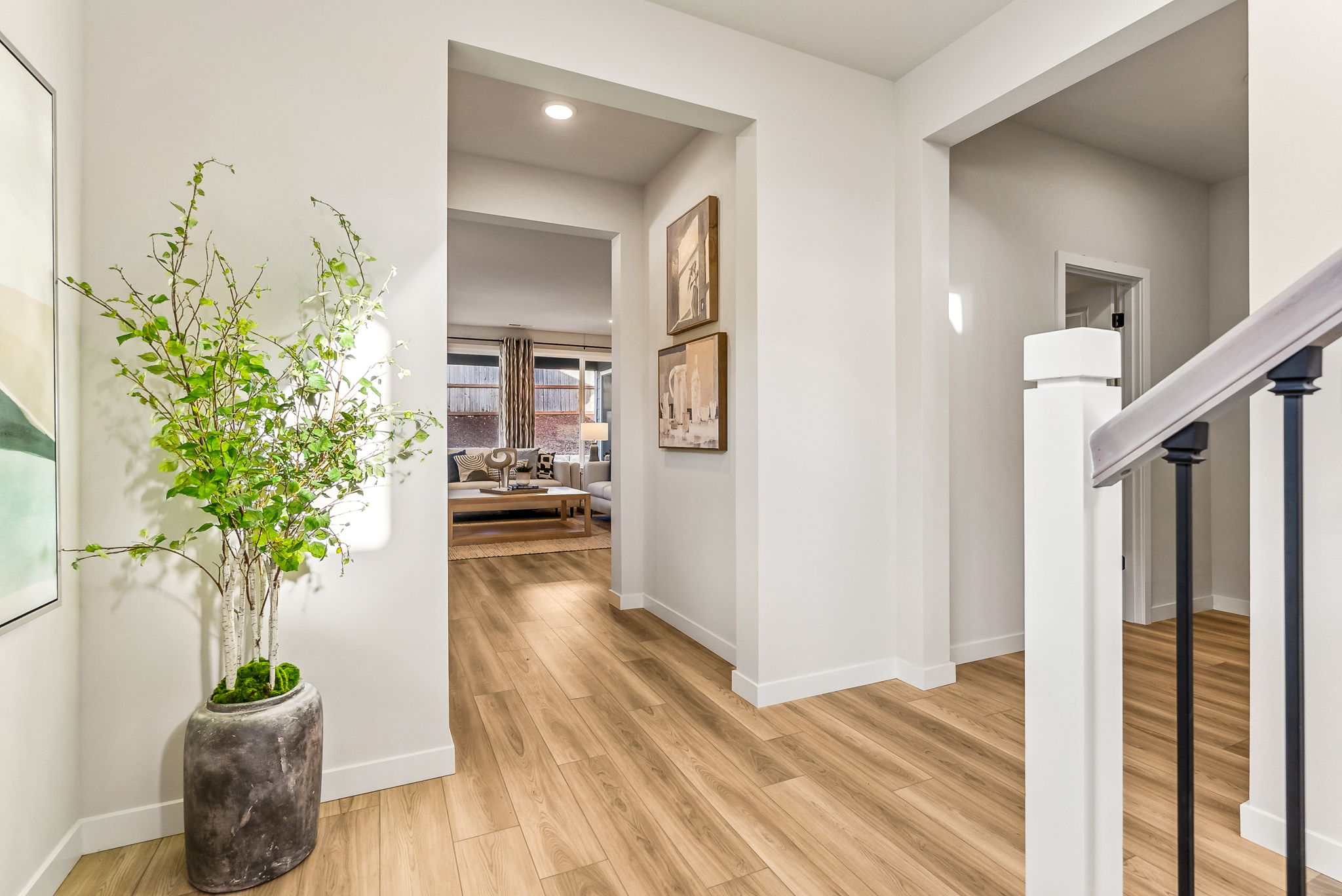 A room with a plant in it.